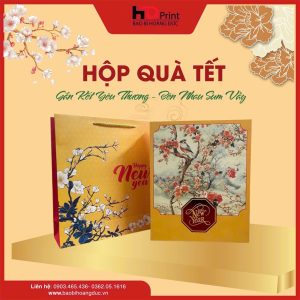 HỘP QUÀ TẾT -HD03