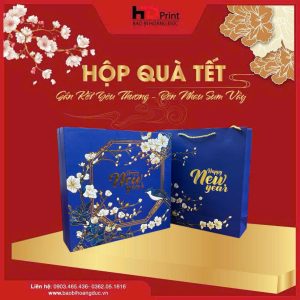 HỘP QUÀ TẾT -HD04
