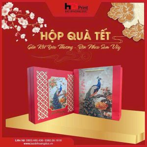 HÔP QUÀ TẾT- HD01