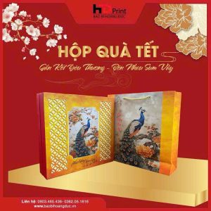 HỘP QUÀ TẾT -HD02